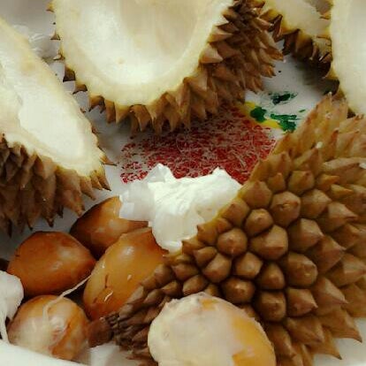 Detail Rumah Durian Harum Nomer 19