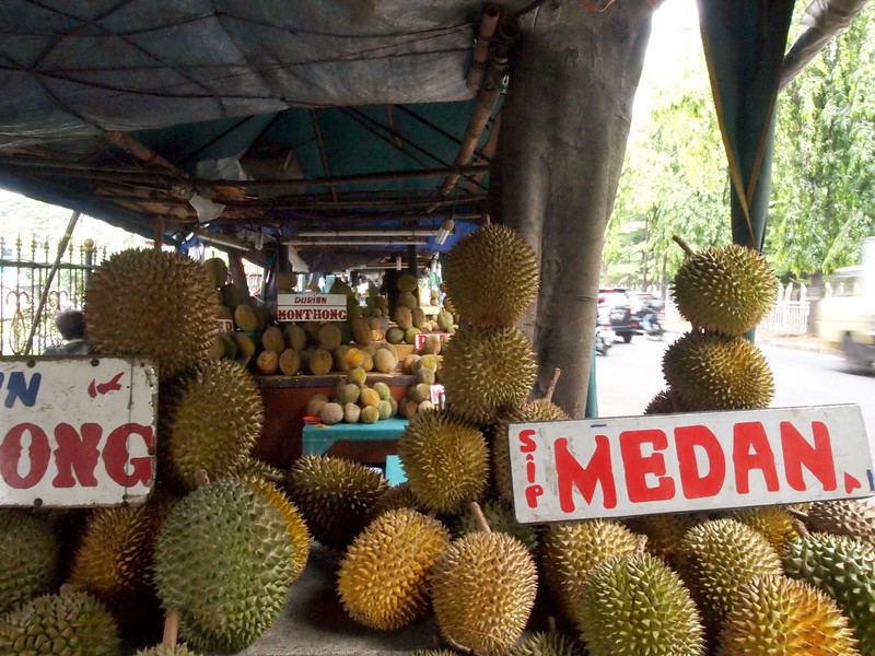Detail Rumah Durian Harum Nomer 23