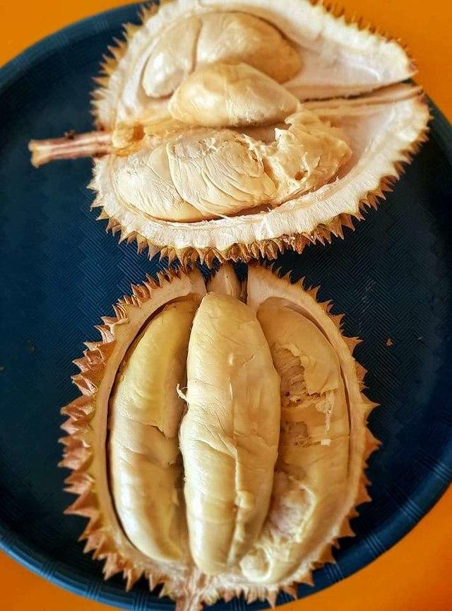 Detail Rumah Durian Harum Nomer 26