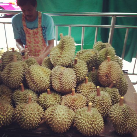 Detail Rumah Durian Harum Nomer 28