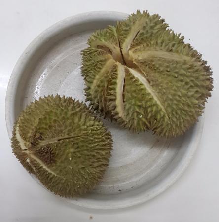 Detail Rumah Durian Harum Nomer 4