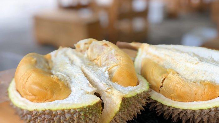 Detail Rumah Durian Harum Nomer 40
