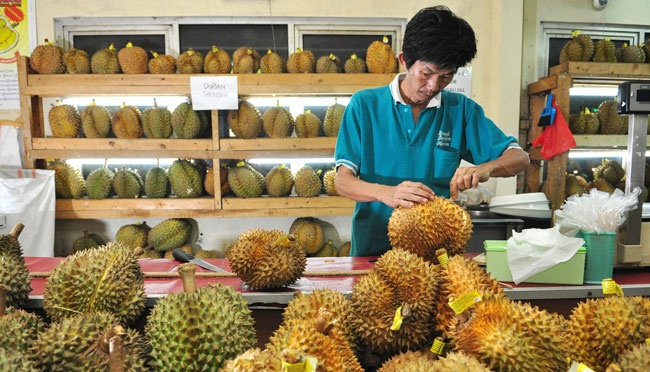 Detail Rumah Durian Harum Nomer 52