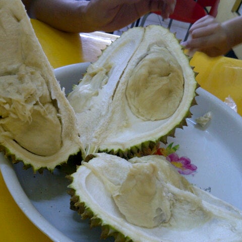 Detail Rumah Durian Harum Nomer 9