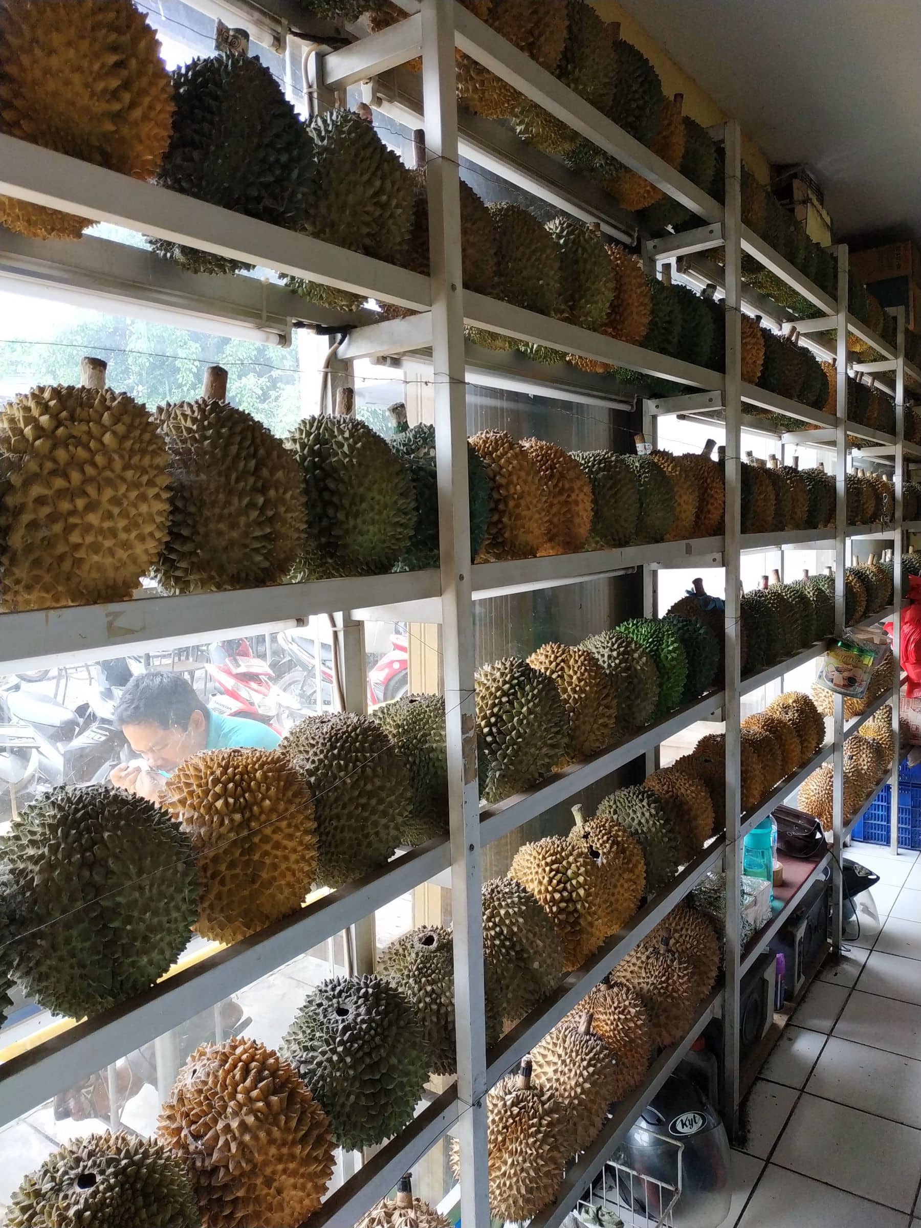 Detail Rumah Durian Harum Nomer 10