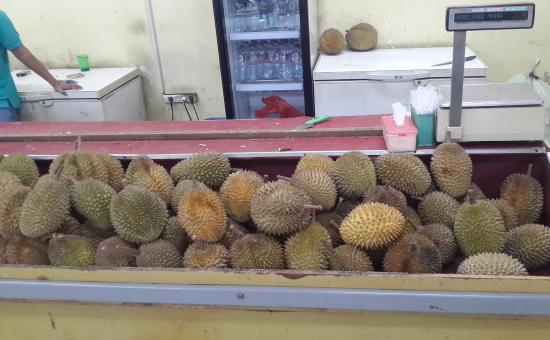 Detail Rumah Durian Terdekat Nomer 2