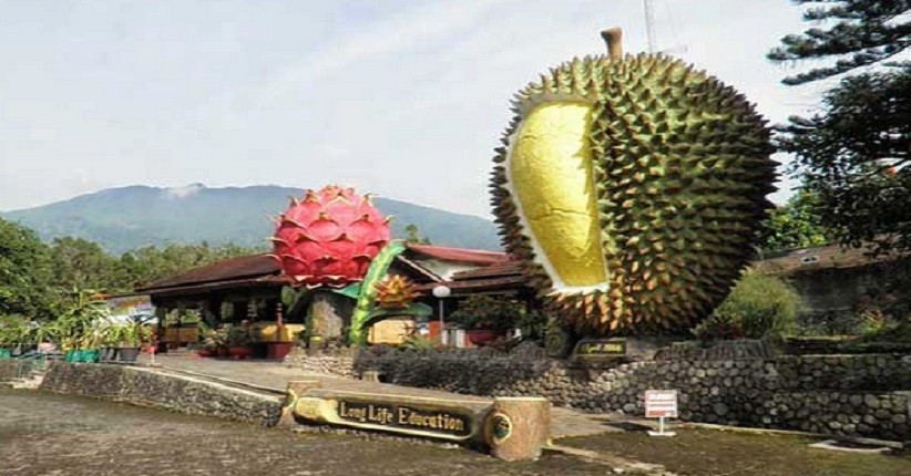 Detail Rumah Durian Terdekat Nomer 16