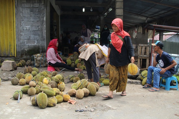 Detail Rumah Durian Terdekat Nomer 29