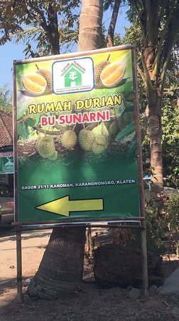 Detail Rumah Durian Terdekat Nomer 51