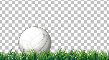 Detail Vector Volleyball Clipart Nomer 43