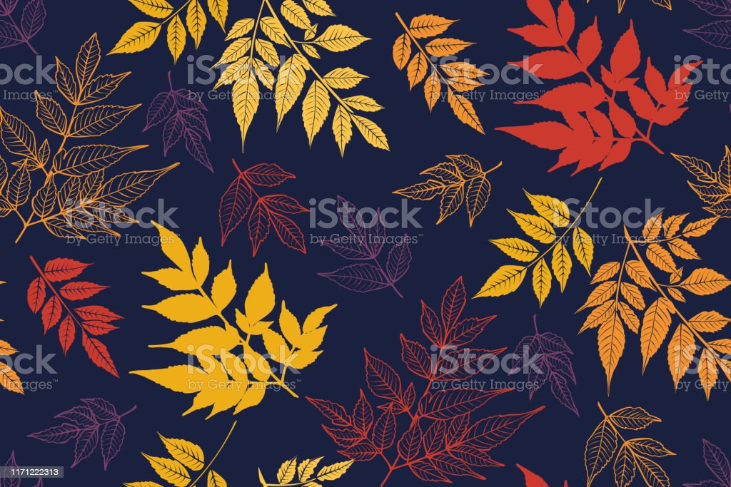 Detail Vector Warna Warni Nomer 40