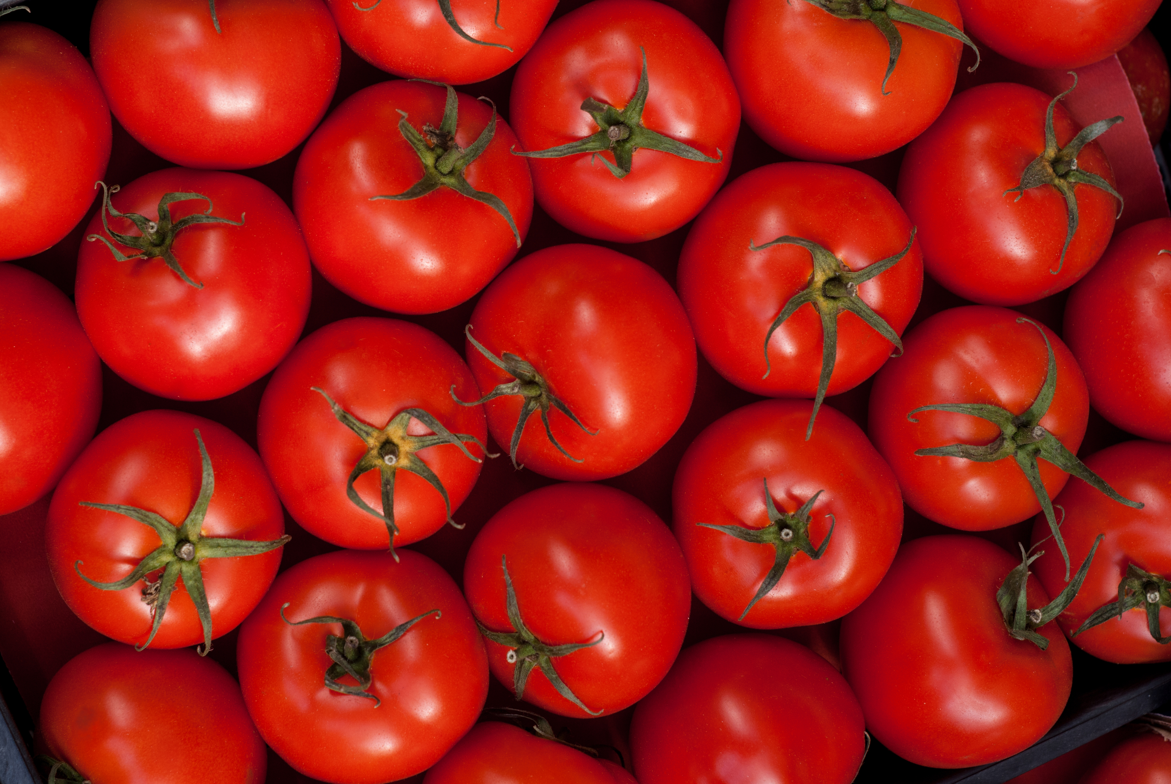 Detail Vegetable Background Nomer 46