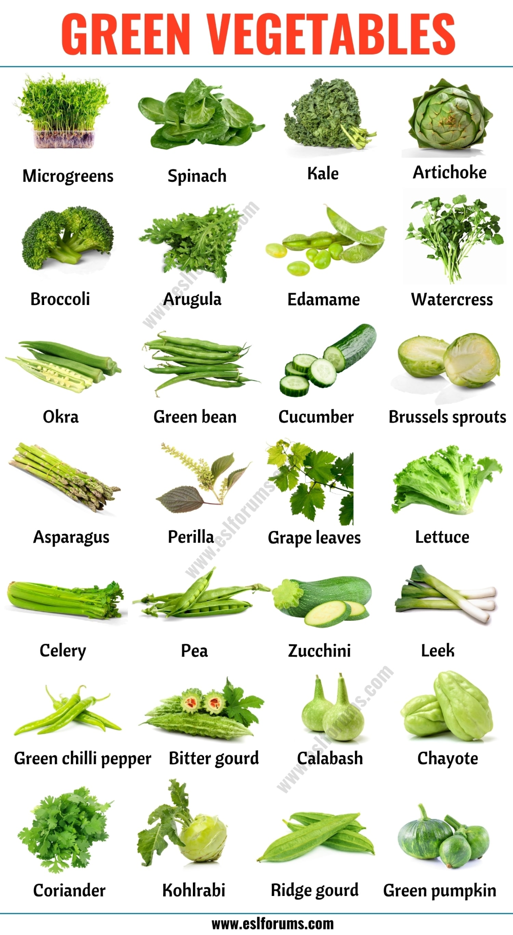 Detail Vegetable Image Nomer 15