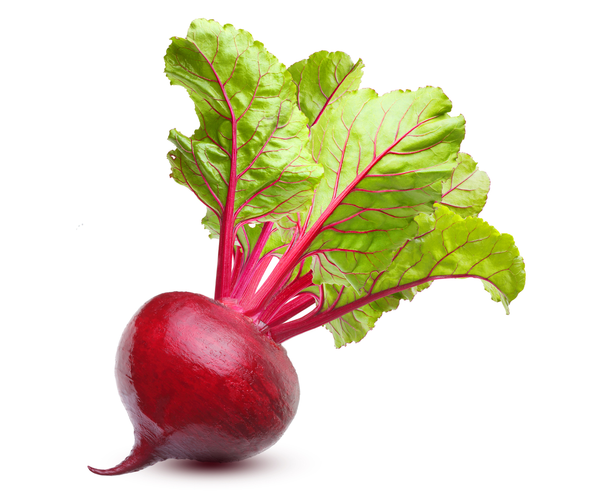 Detail Vegetable Image Nomer 26