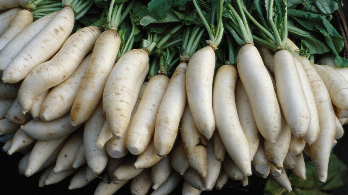 Detail Vegetable Image Nomer 28