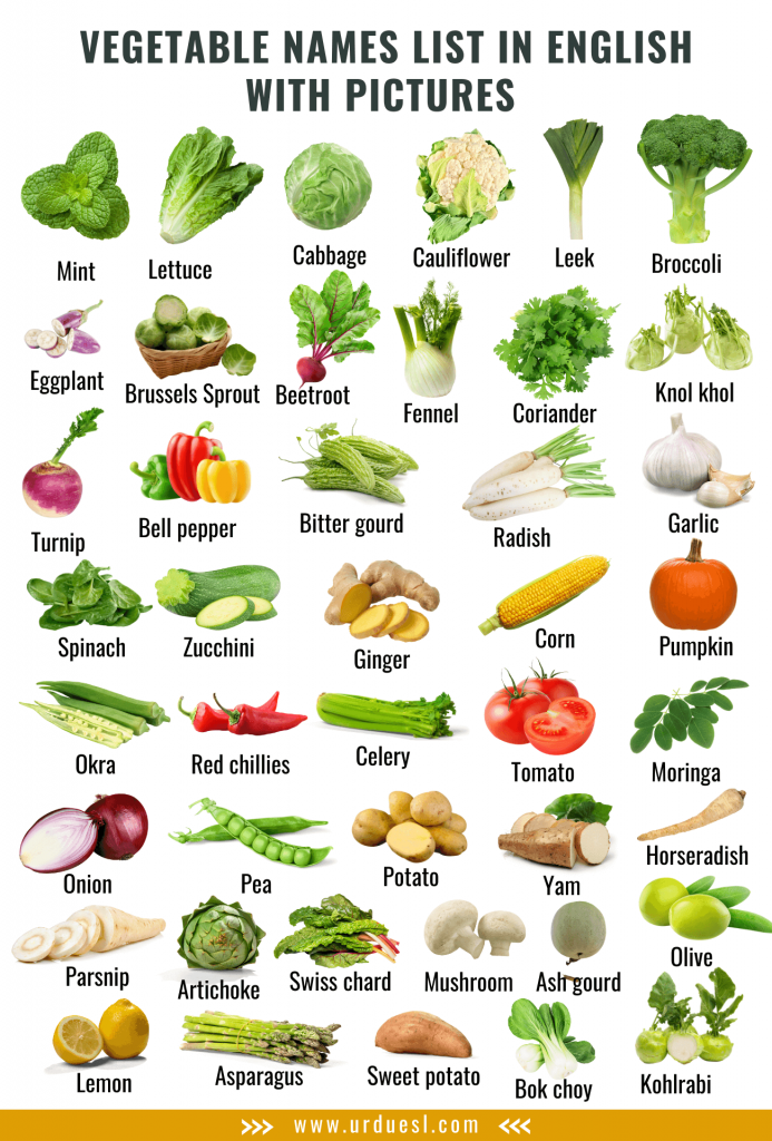 Detail Vegetable Image Nomer 34