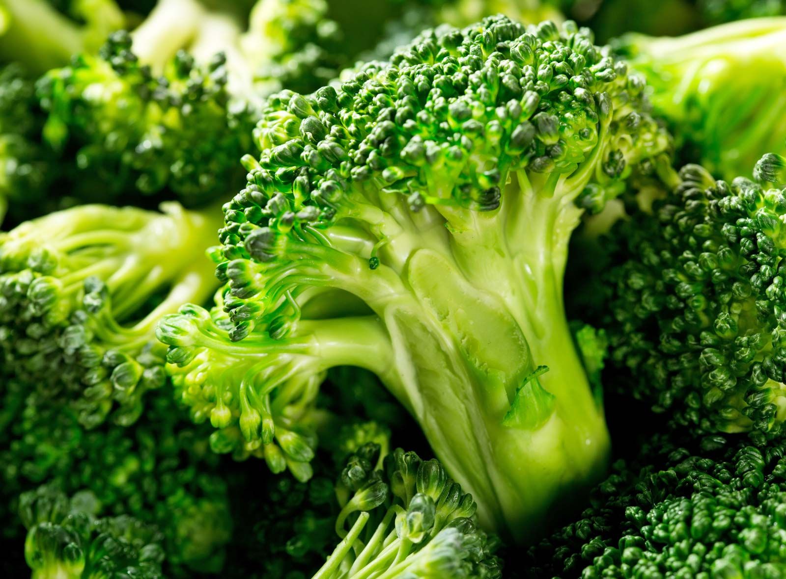 Detail Vegetable Image Nomer 5