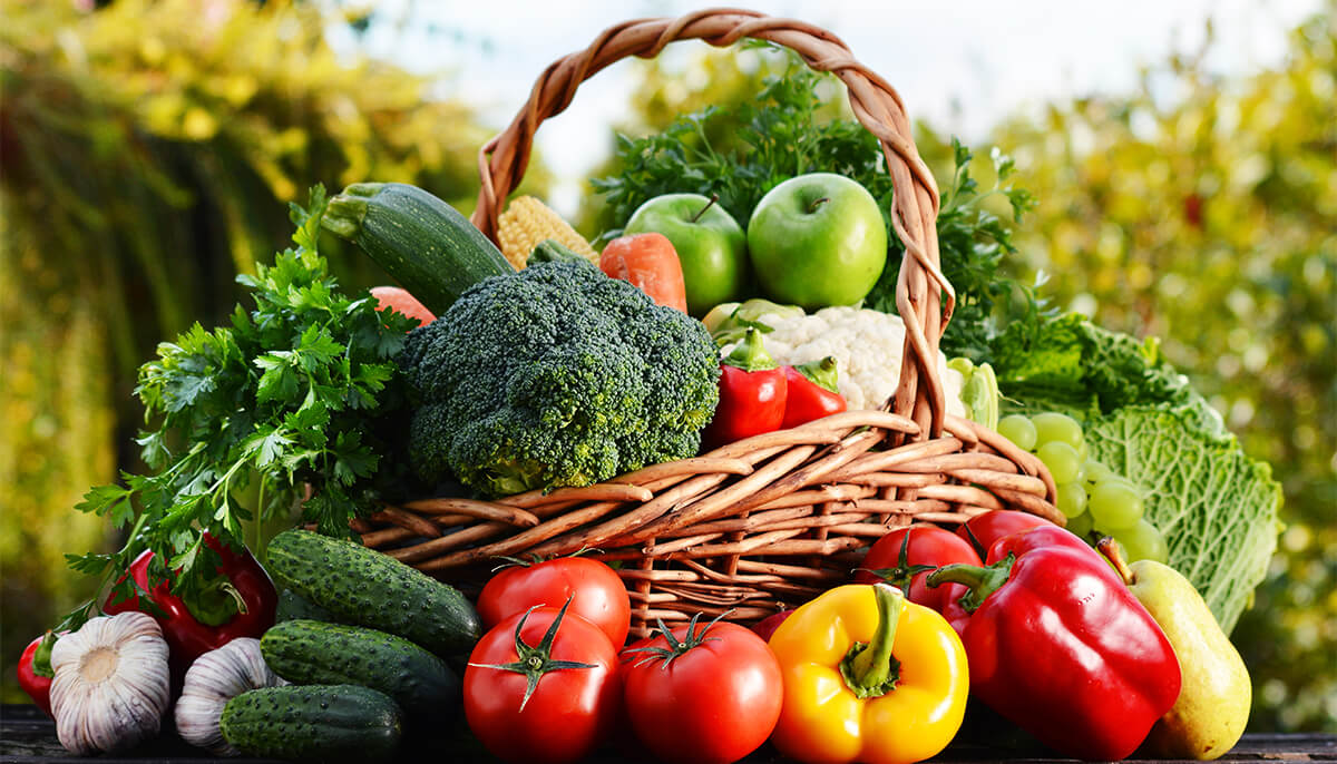 Detail Vegetable Image Nomer 7