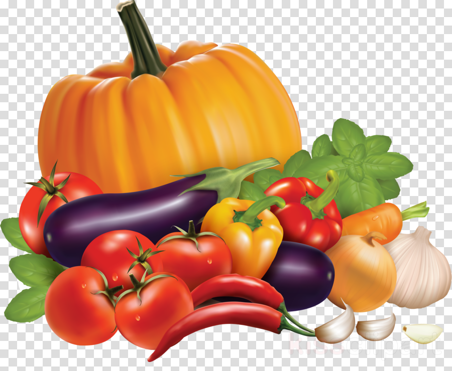 Detail Vegetable Logo Png Nomer 55