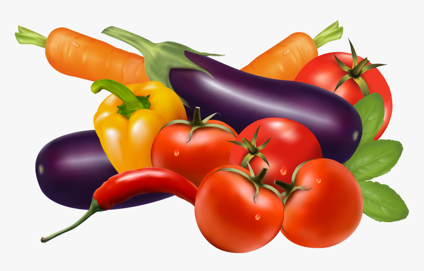 Vegetable Vector Png - KibrisPDR