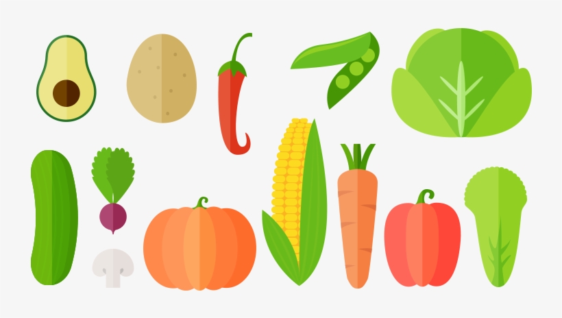 Detail Vegetable Vector Png Nomer 3