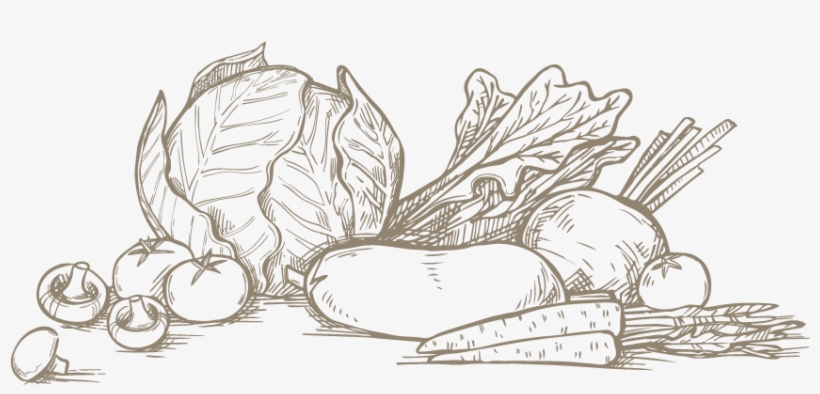 Detail Vegetable Vector Png Nomer 47