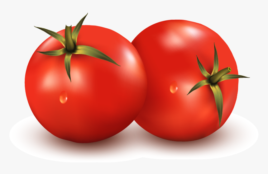 Detail Vegetable Vector Png Nomer 49