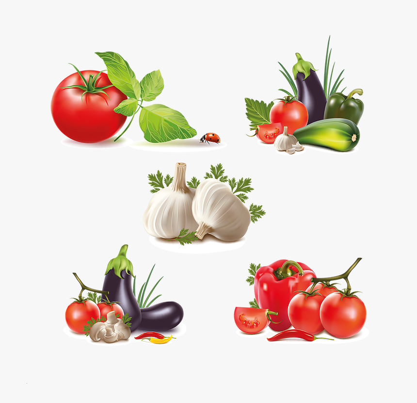 Detail Vegetable Vector Png Nomer 9