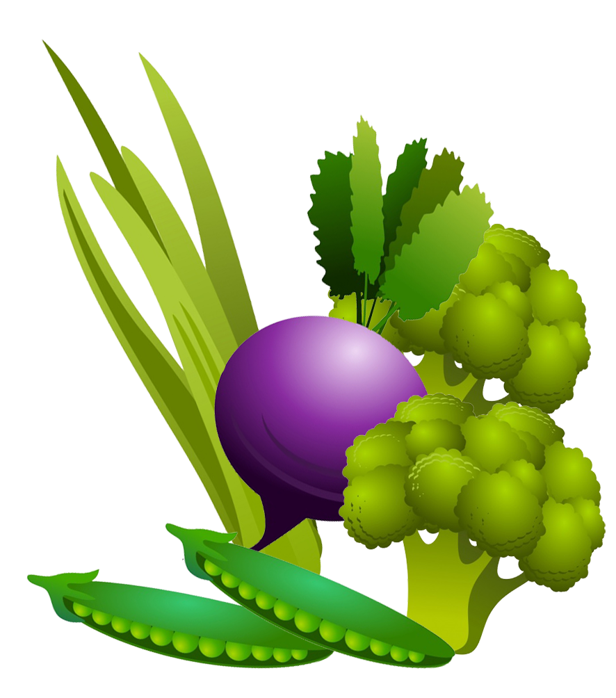 Detail Vegetables Clipart Png Nomer 54