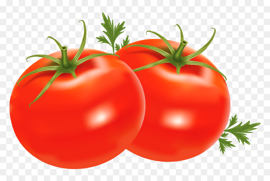 Detail Vegetables Transparent Background Nomer 27