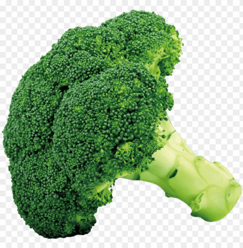 Detail Vegetables Transparent Background Nomer 46