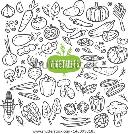 Detail Vegetables Vector Png Nomer 13