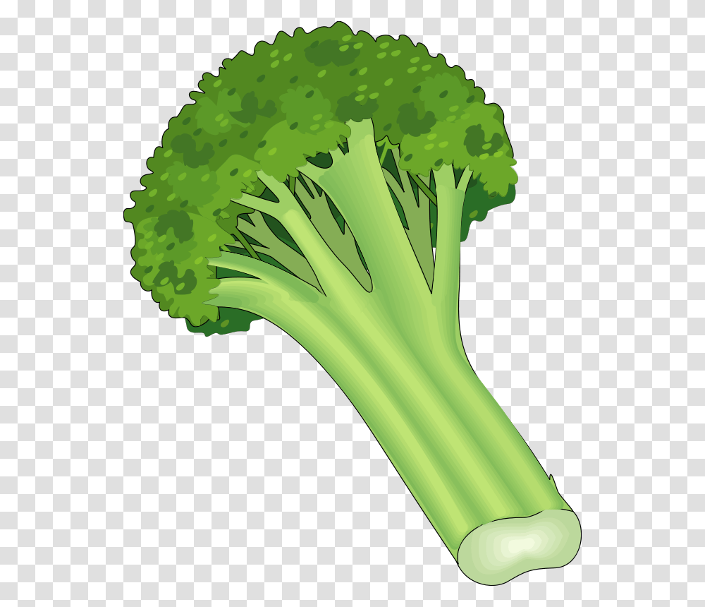 Detail Vegetables Vector Png Nomer 16