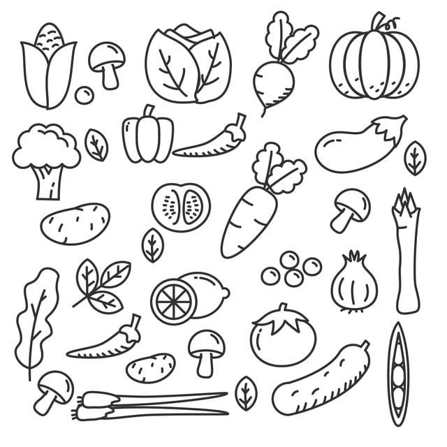 Detail Vegetables Vector Png Nomer 29