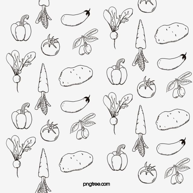 Detail Vegetables Vector Png Nomer 41