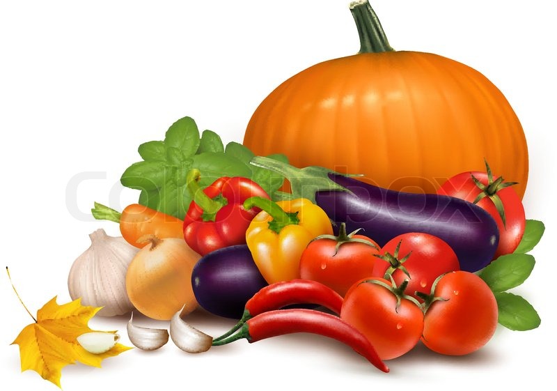 Detail Vegetables Vector Png Nomer 50