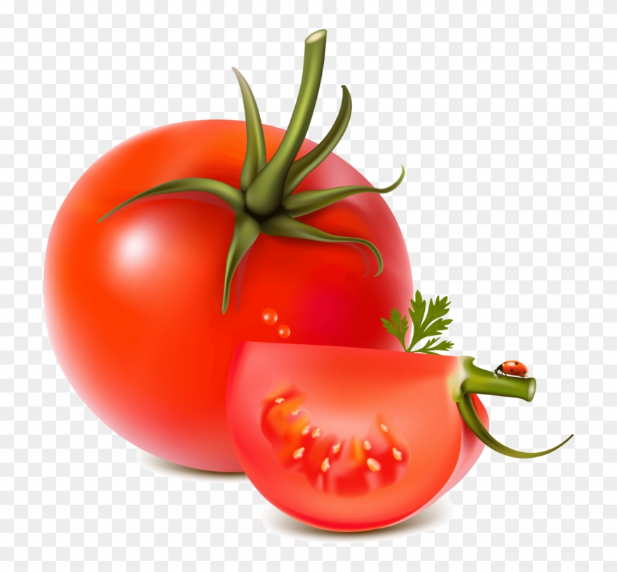 Detail Vegetables Vector Png Nomer 56