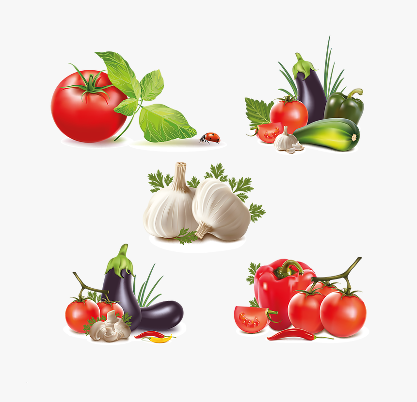 Detail Vegetables Vector Png Nomer 10