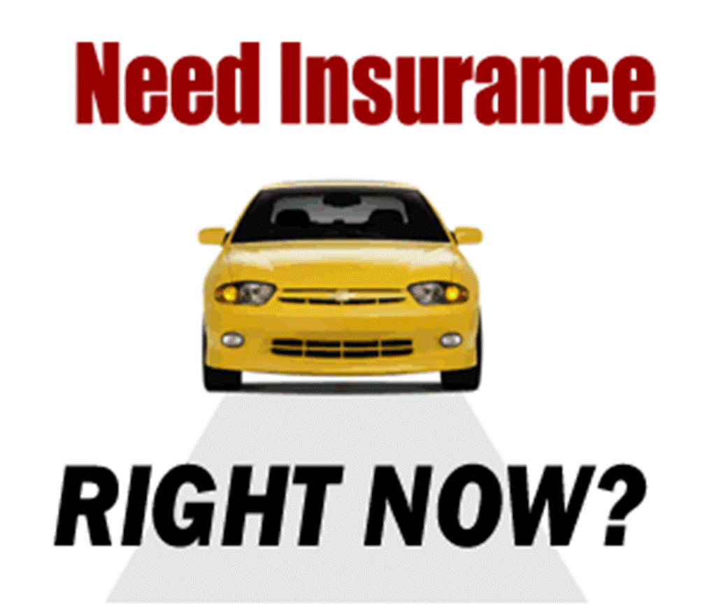 Detail Vehicle Insurance Quotes Nomer 7