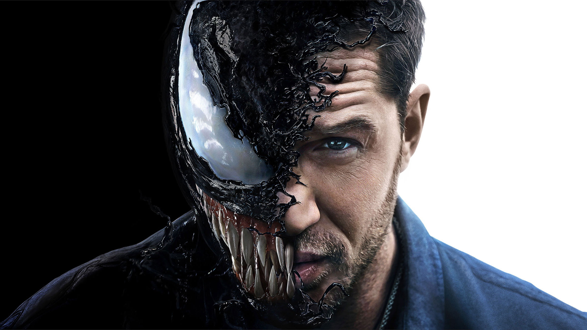 Detail Venom 2018 Wallpaper Nomer 44