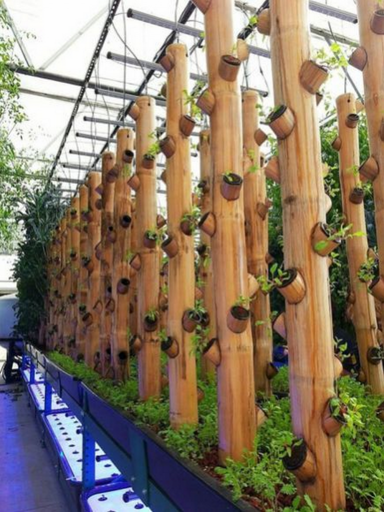 Detail Vertical Garden Dari Bambu Nomer 2