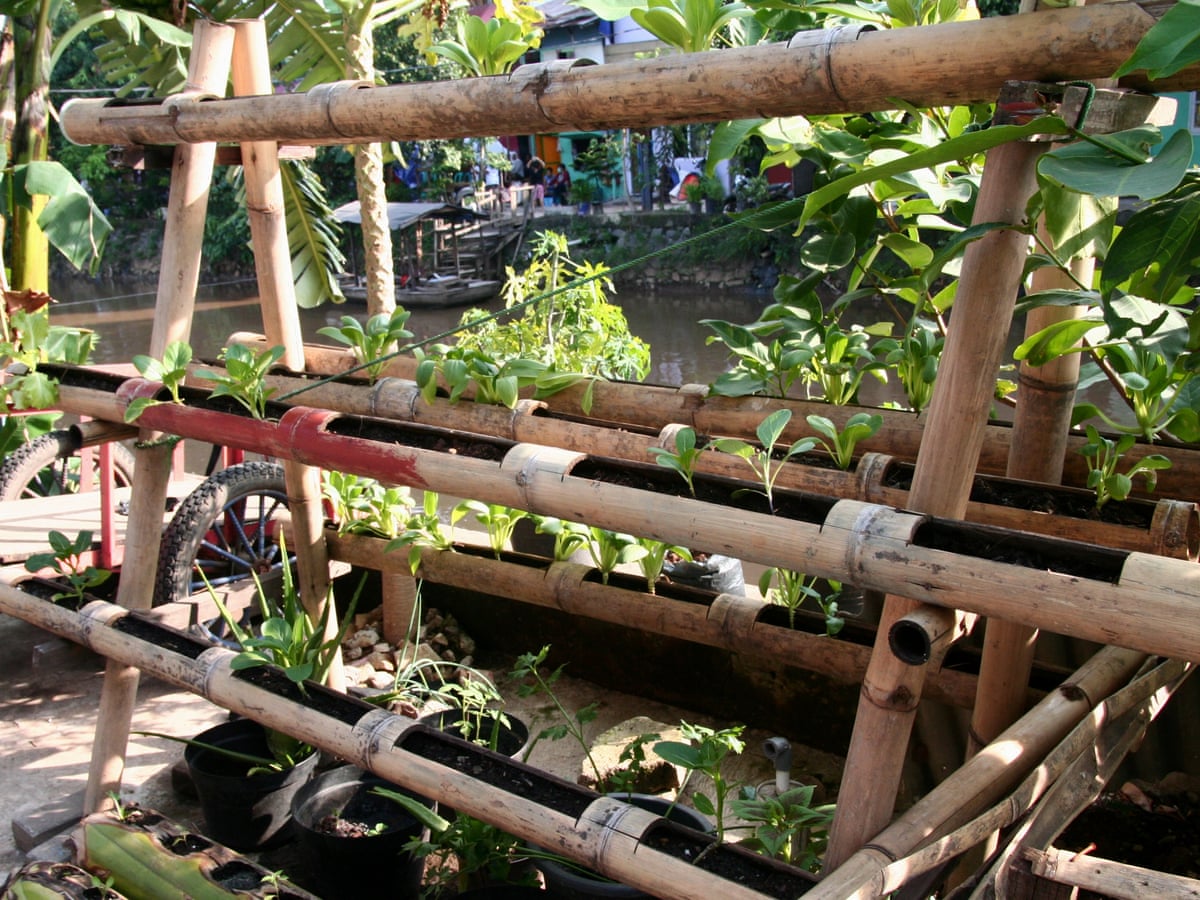 Detail Vertical Garden Dari Bambu Nomer 24