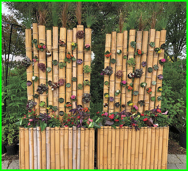 Detail Vertical Garden Dari Bambu Nomer 43