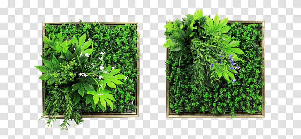 Detail Vertical Garden Png Nomer 11