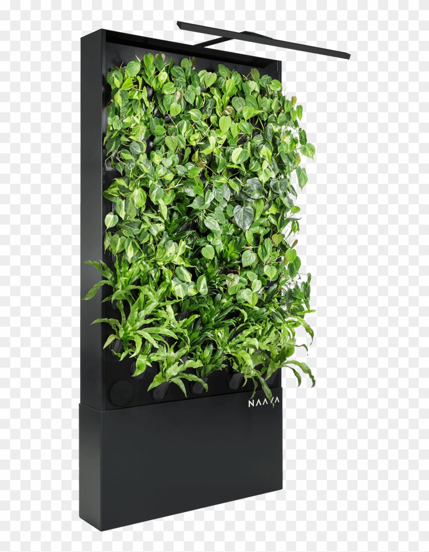 Detail Vertical Garden Png Nomer 13