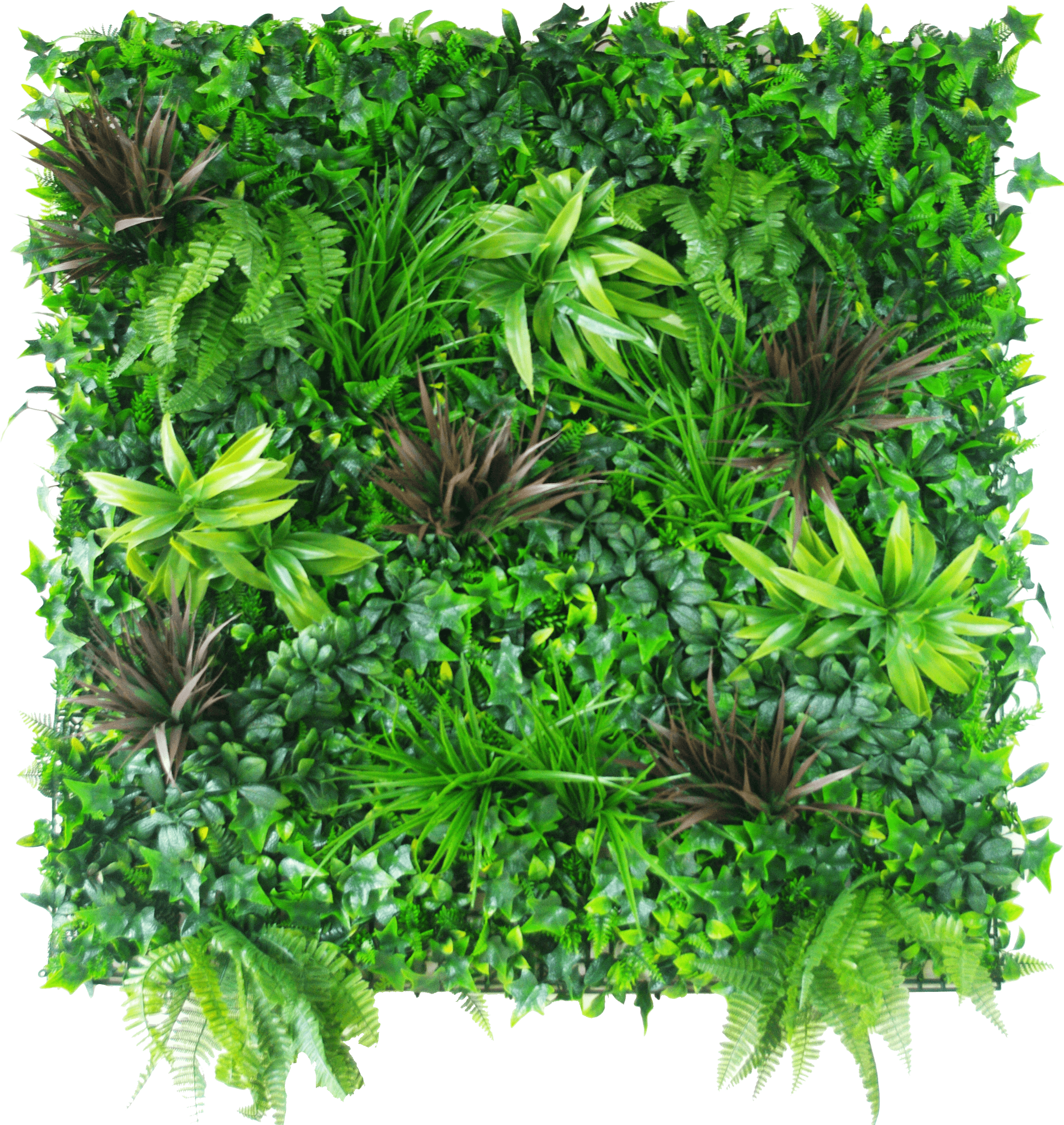 Detail Vertical Garden Png Nomer 17