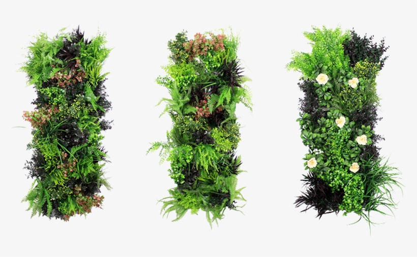 Detail Vertical Garden Png Nomer 3