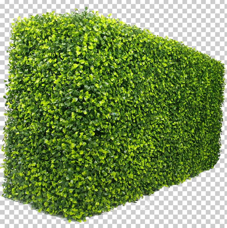 Detail Vertical Garden Png Nomer 35