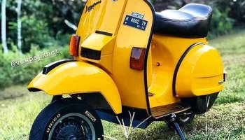 Detail Vespa Px Kuning Nomer 55