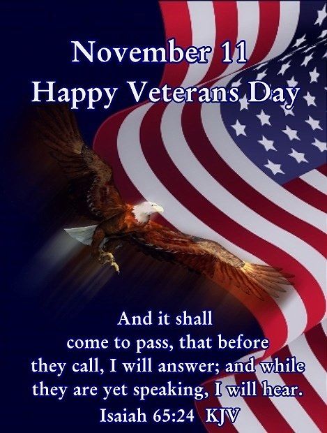 Detail Veterans Day Quotes Nomer 24
